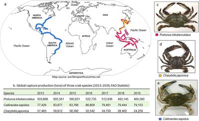 Frontiers | Genome Characterization And Comparative Analysis Among ...